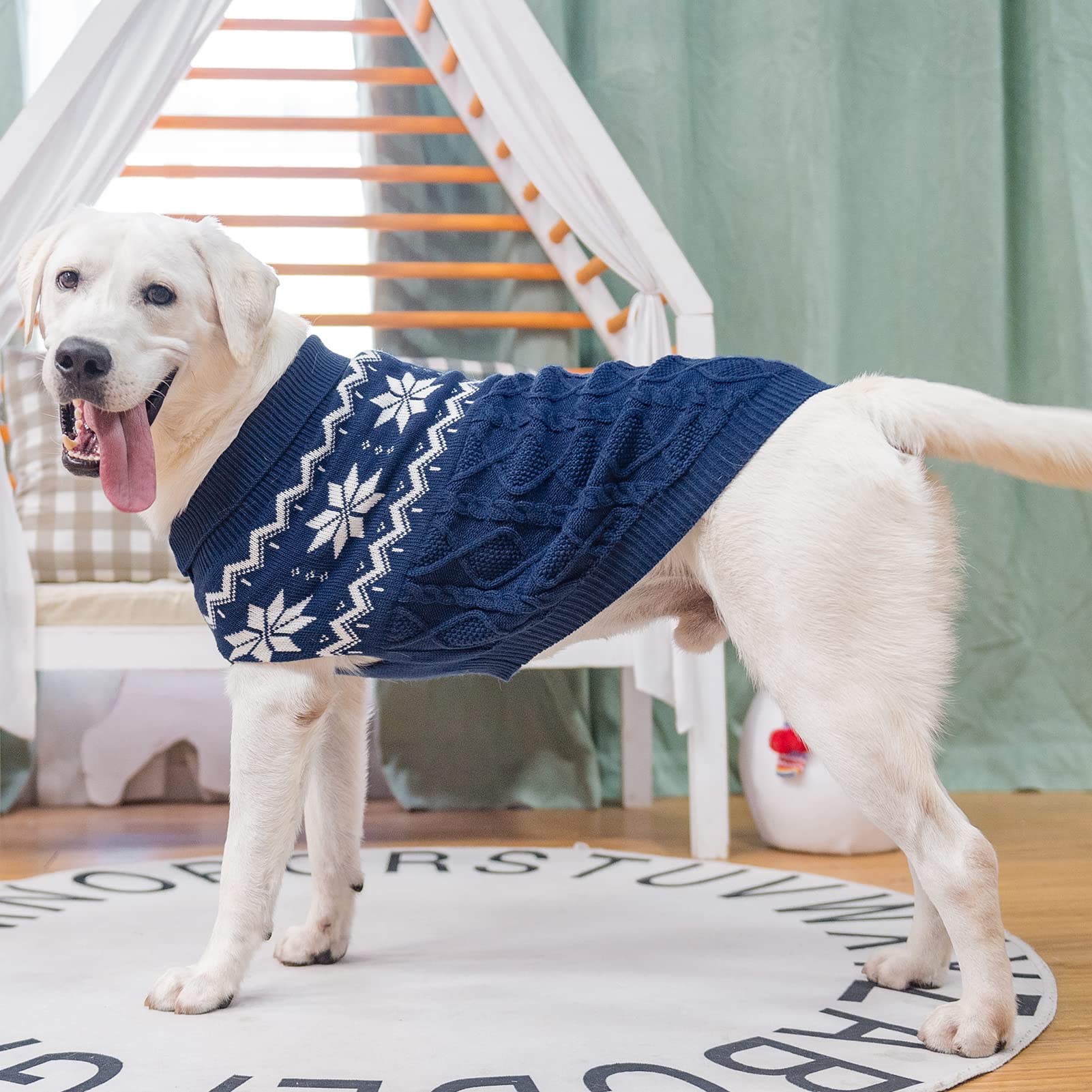 SCIROKKO suéter para perros invierno, vista trasera, diseño clásico y cómodo.