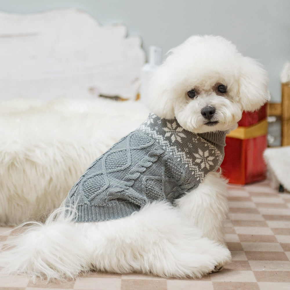 SCIROKKO ofrece múltiples tallas para perros pequeños, medianos y grandes