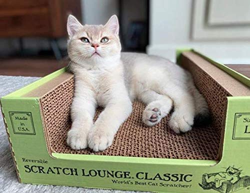 Scratch Lounge Gato Grande XL estructura resistente para uso prolongado.
