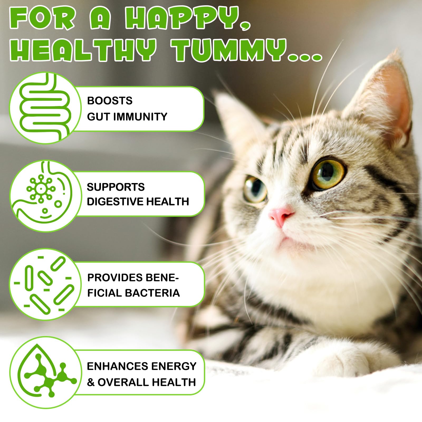 SDJUFEI Probiotics para gatos, presentación práctica en líquido