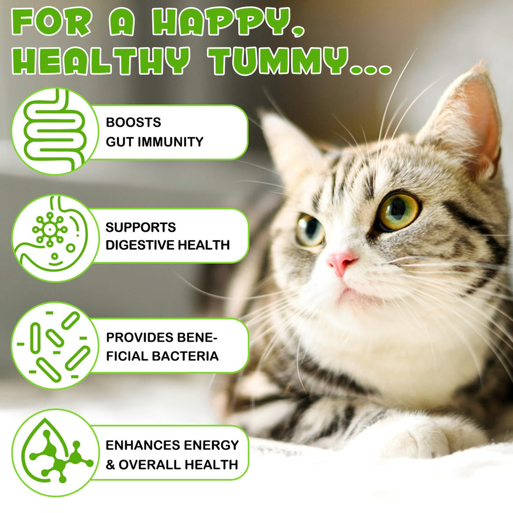 SDJUFEI Probiotics para gatos, presentación práctica en líquido