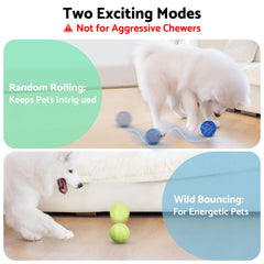Seagi Pelota con dos modos de movimiento para perros curiosos.