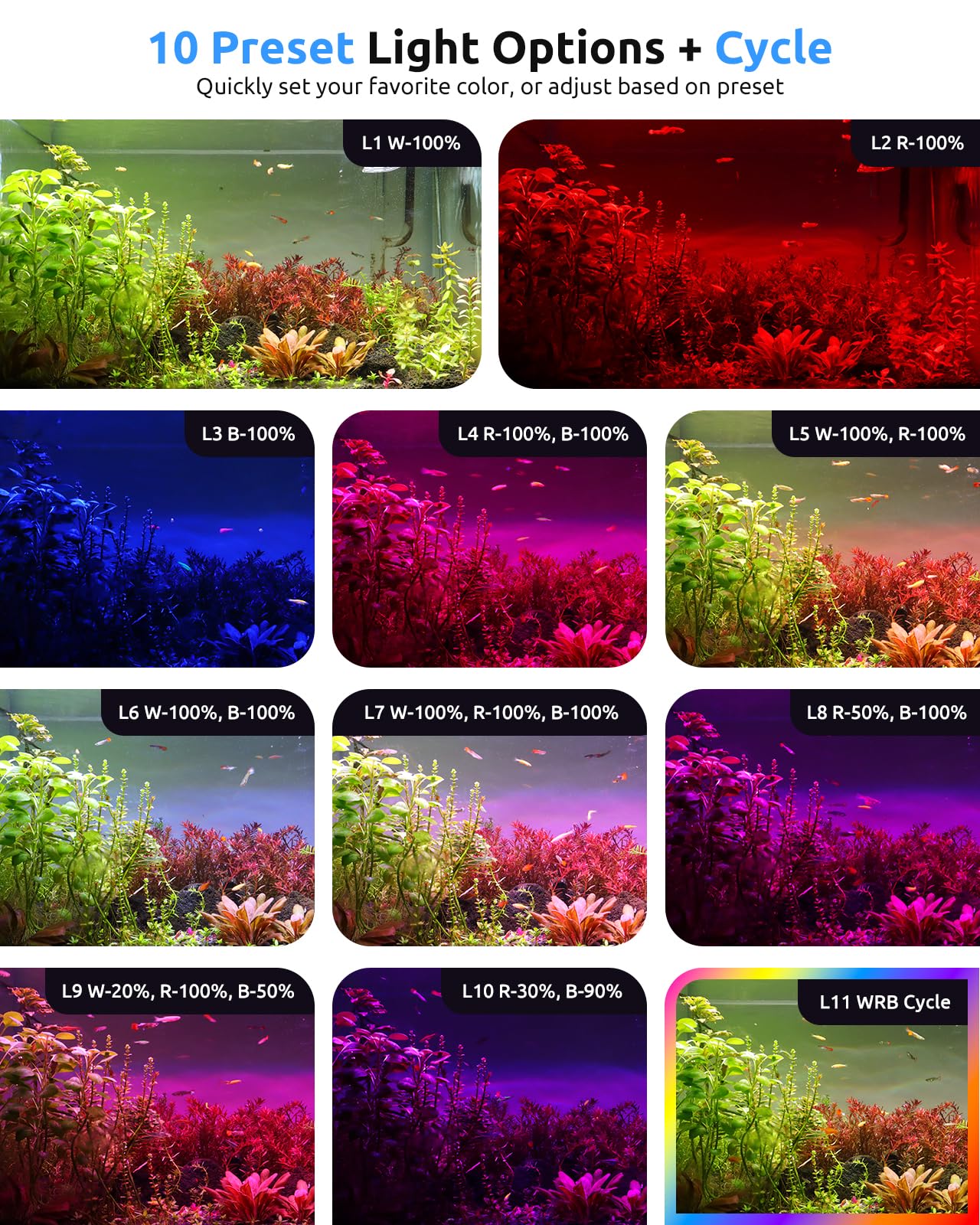 Control WRB de tres canales, colores personalizados.