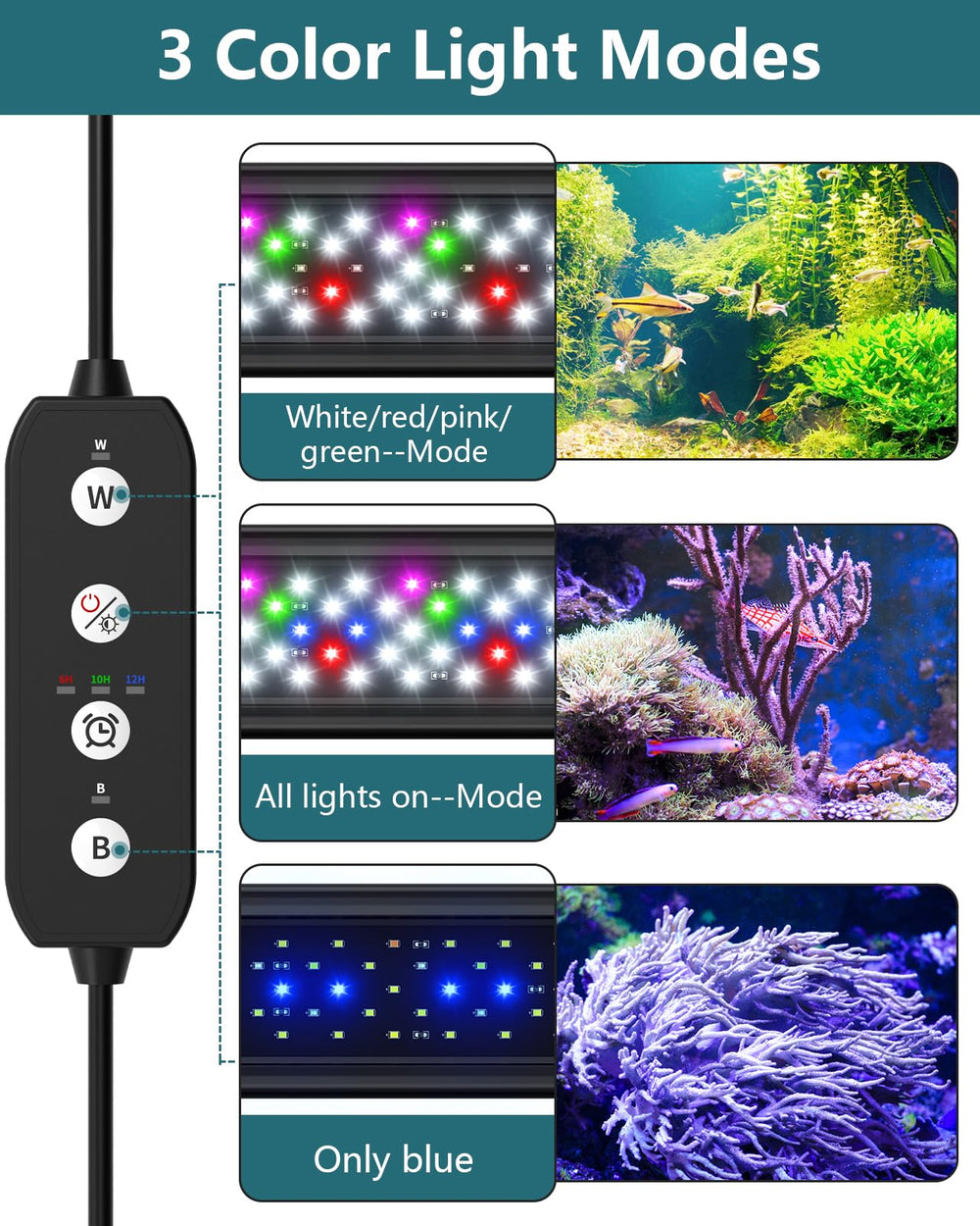 Luz SEAOURA con temporizador automático, enciende y apaga según horario