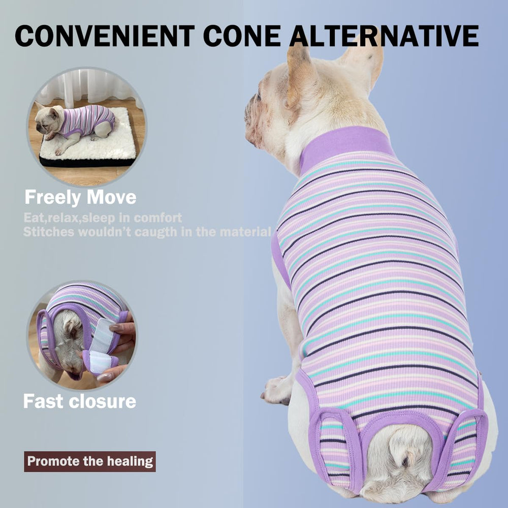 Sebidtco diseño fácil de poner y quitar ideal para paseos, comida y descanso.