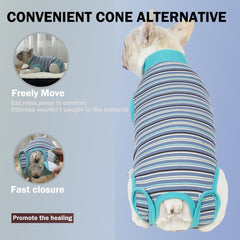 Sebidtco protector abdomen para perro durante recuperación.