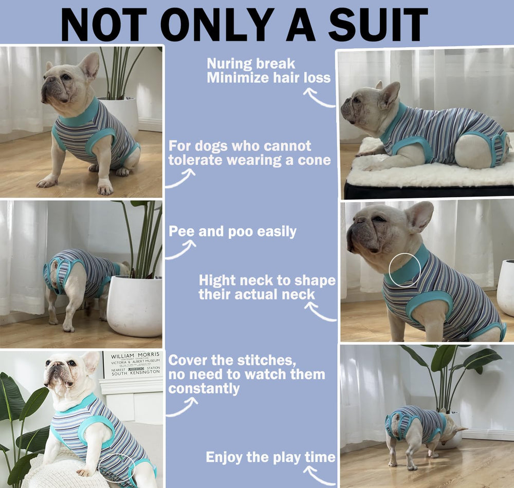 Sebidtco traje recuperación reduce ansiedad y facilita el descanso del perro.