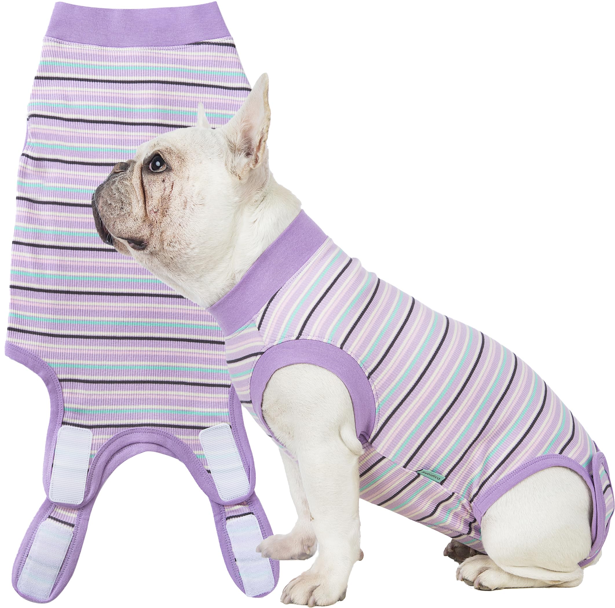Sebidtco traje recuperación para perro tras esterilización protege suturas y facilita la curación.