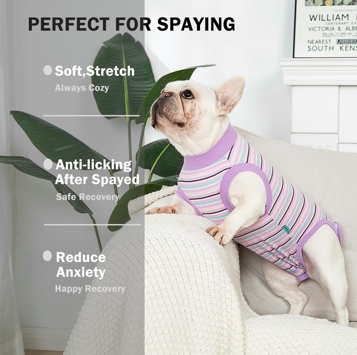 Sebidtco traje de recuperación para perros, lateral, permite movimiento cómodo tras cirugía.