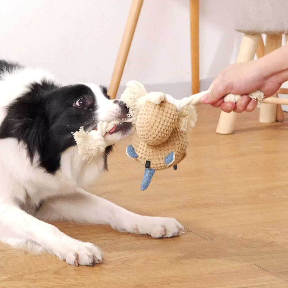Sedioso juguete para perro estimulo cognitivo, favorece la concentración.