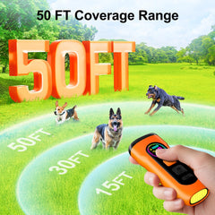 Sedulan Deterrente en uso exterior, solución práctica para entrenamiento al aire libre.