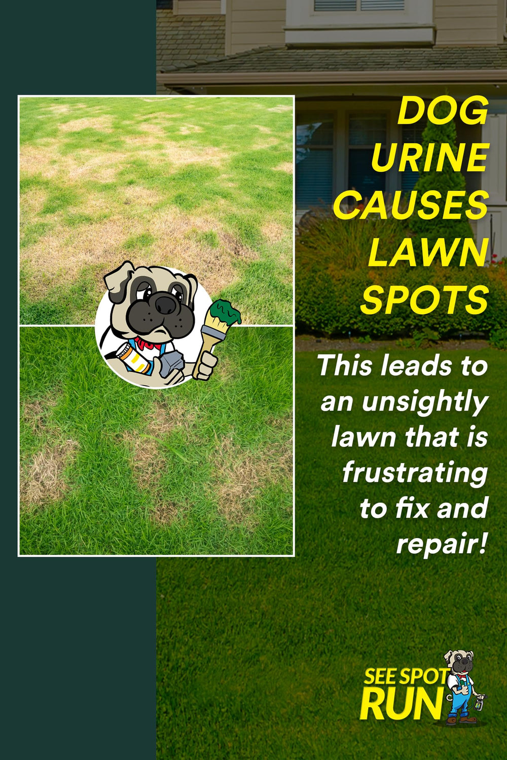See Spot Run acoplador de manguera facilita calibración y aplicación uniforme en el jardín.