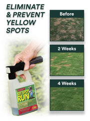 See Spot Run aplicación fácil en el cesped para un cuidado regular sin complicaciones.