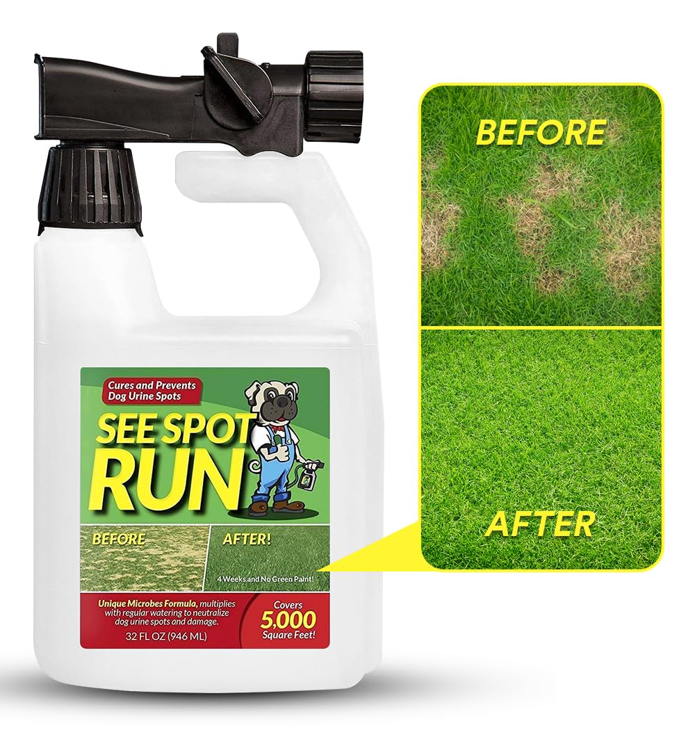 See Spot Run proteccion del cesped, botella de 32 onzas para cubrir áreas amplias.