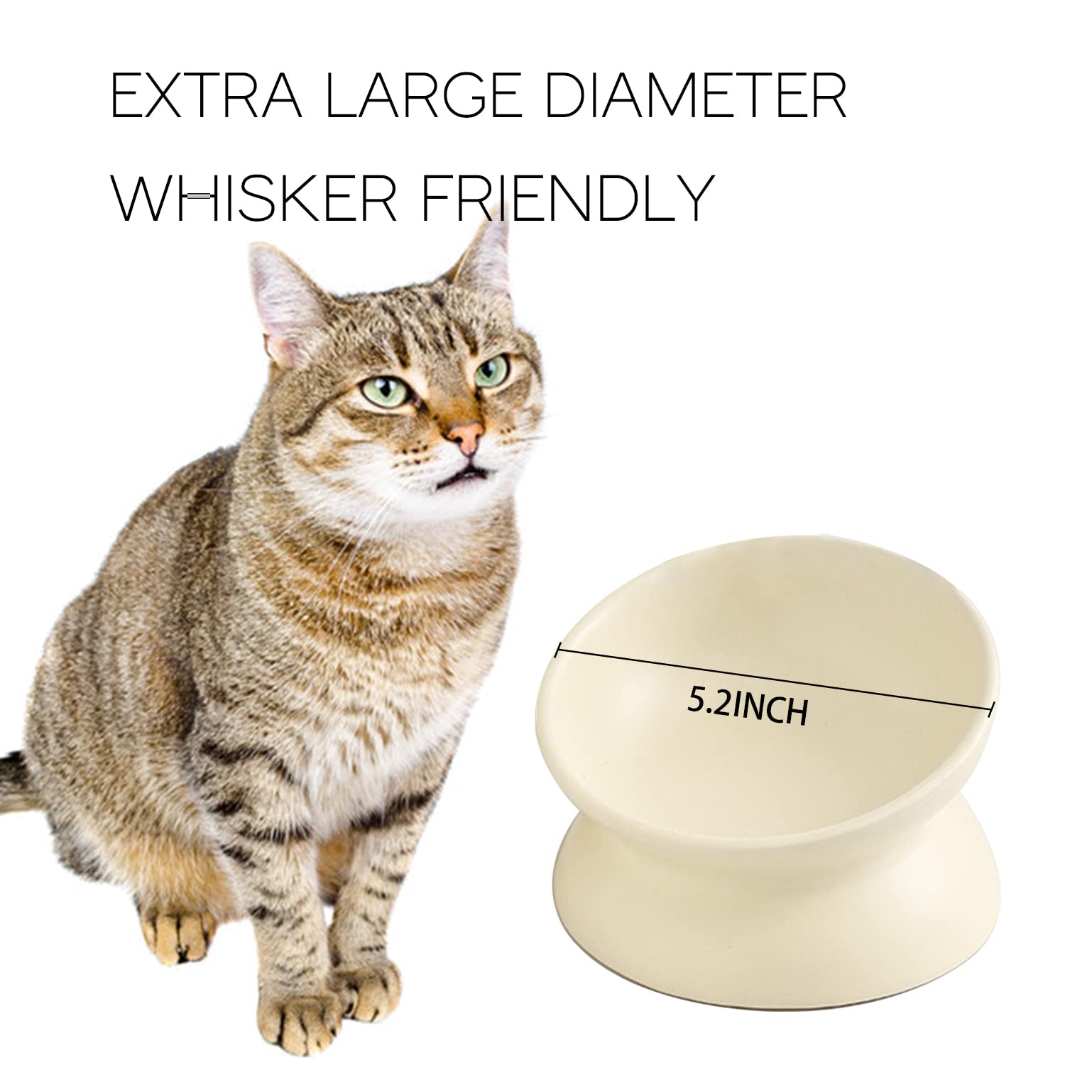 Seemypet regalo ideal para gatos