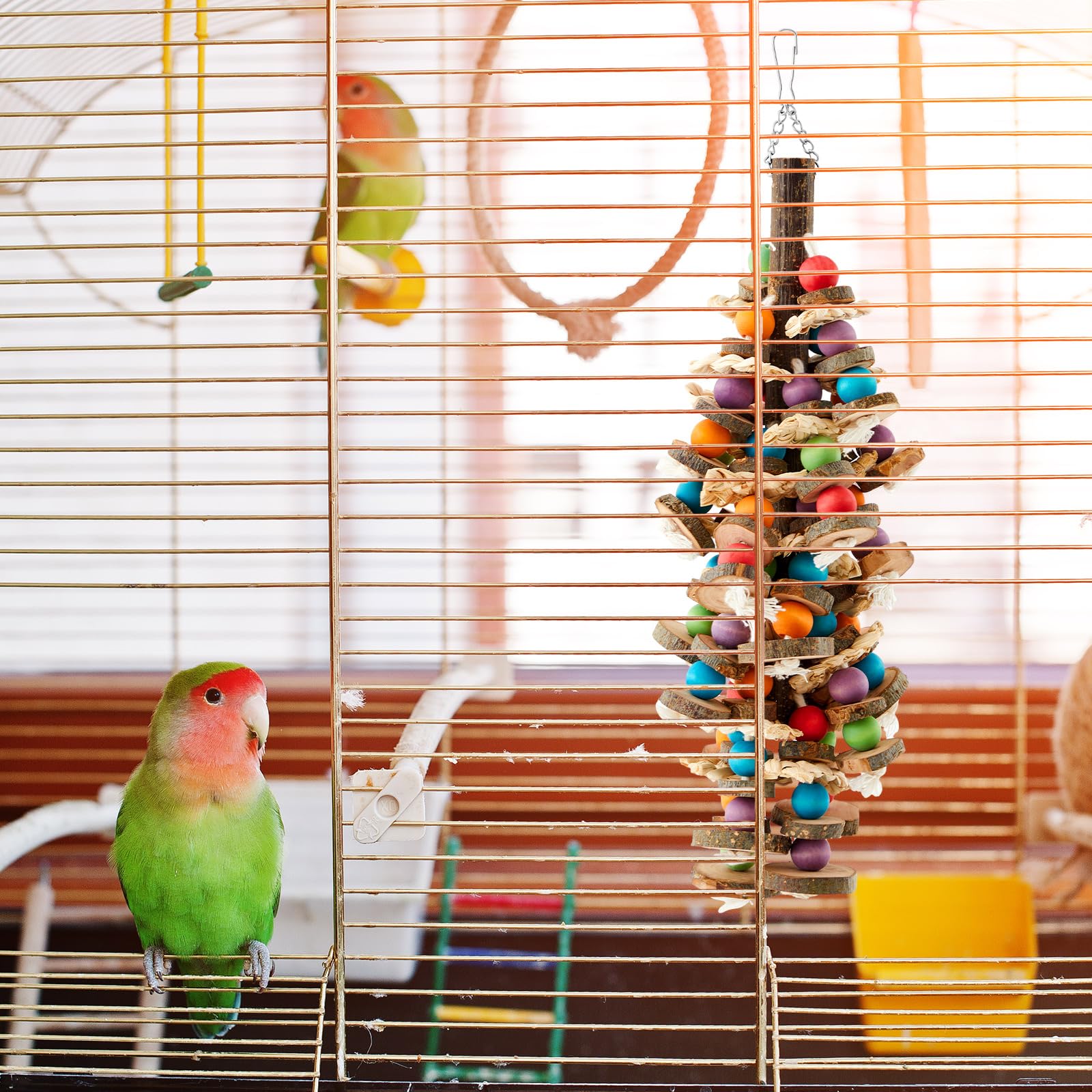 Seenelling regalo para aves, ideal para loros grandes y medianos