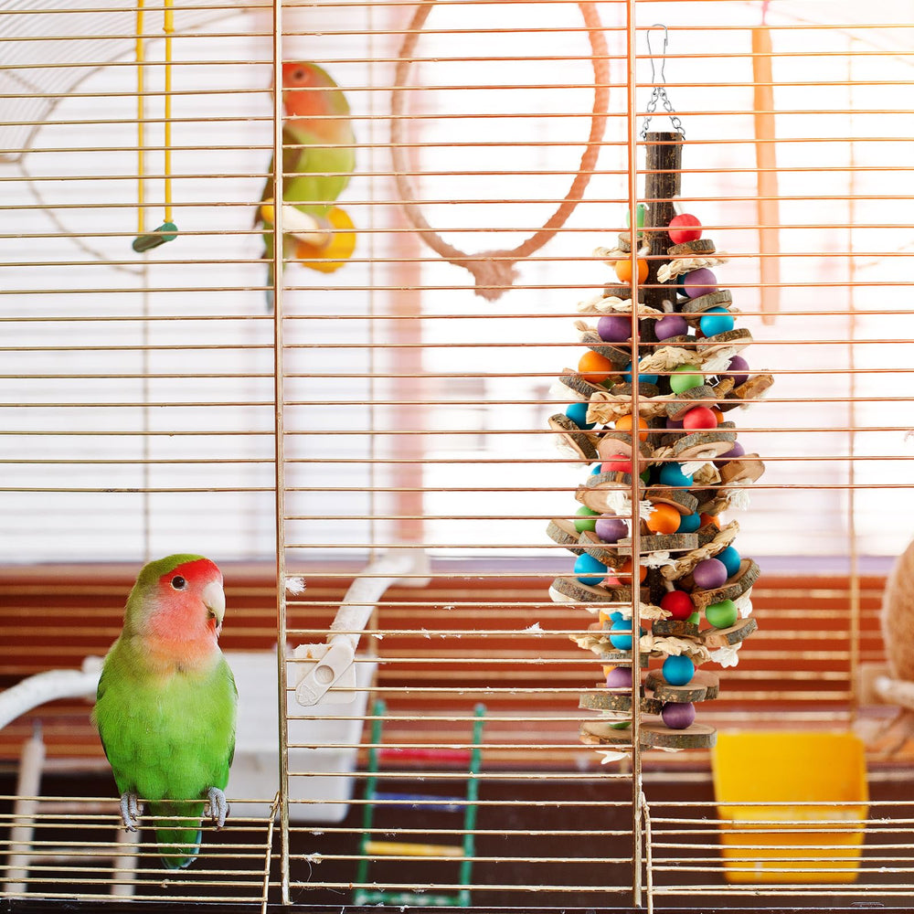 Seenelling regalo para aves, ideal para loros grandes y medianos