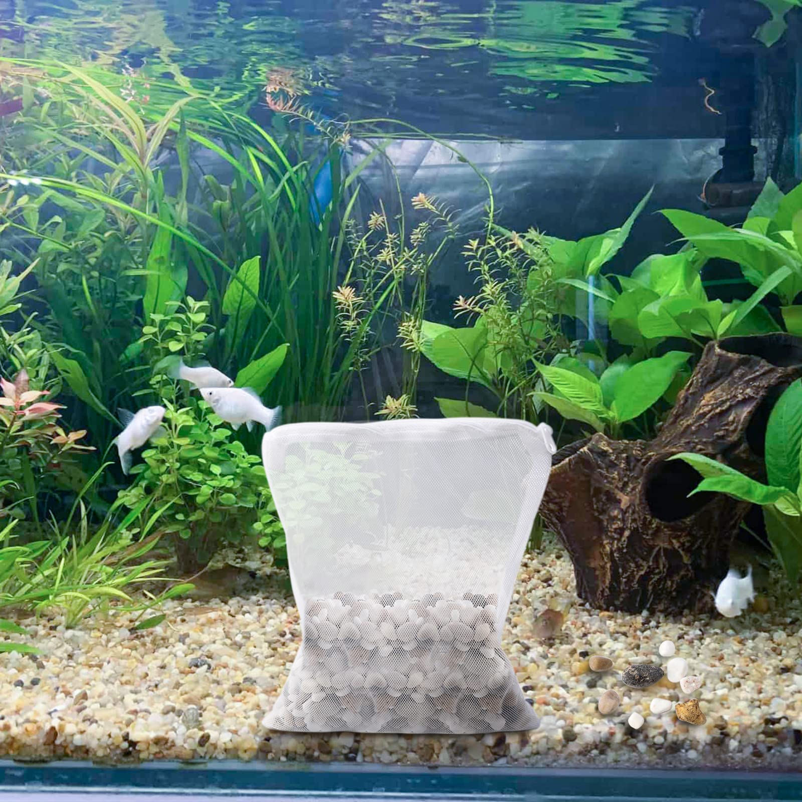 Uso en canister de filtración con bolsas Segarty, mantenimiento práctico.
