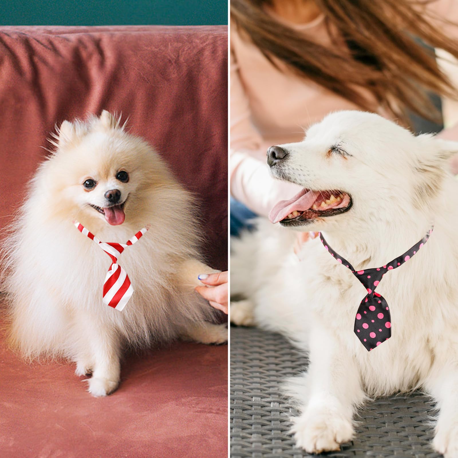 Segarty Lazos para perro: ideales para festividades y días especiales.