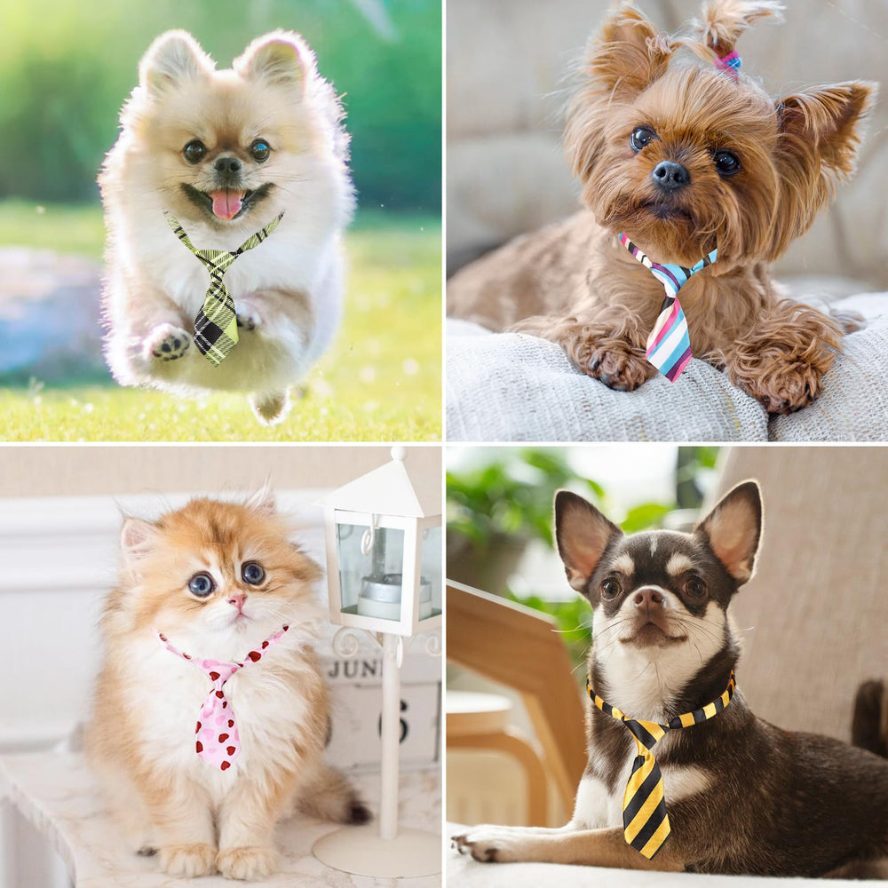 Segarty Lazos para perro y gato: aptos para tamaños pequeños y medianos.