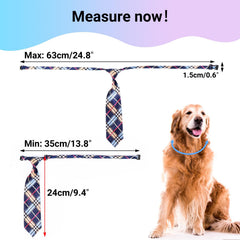 Segarty diseños variados para perros, óptimos para fiestas y sesiones.