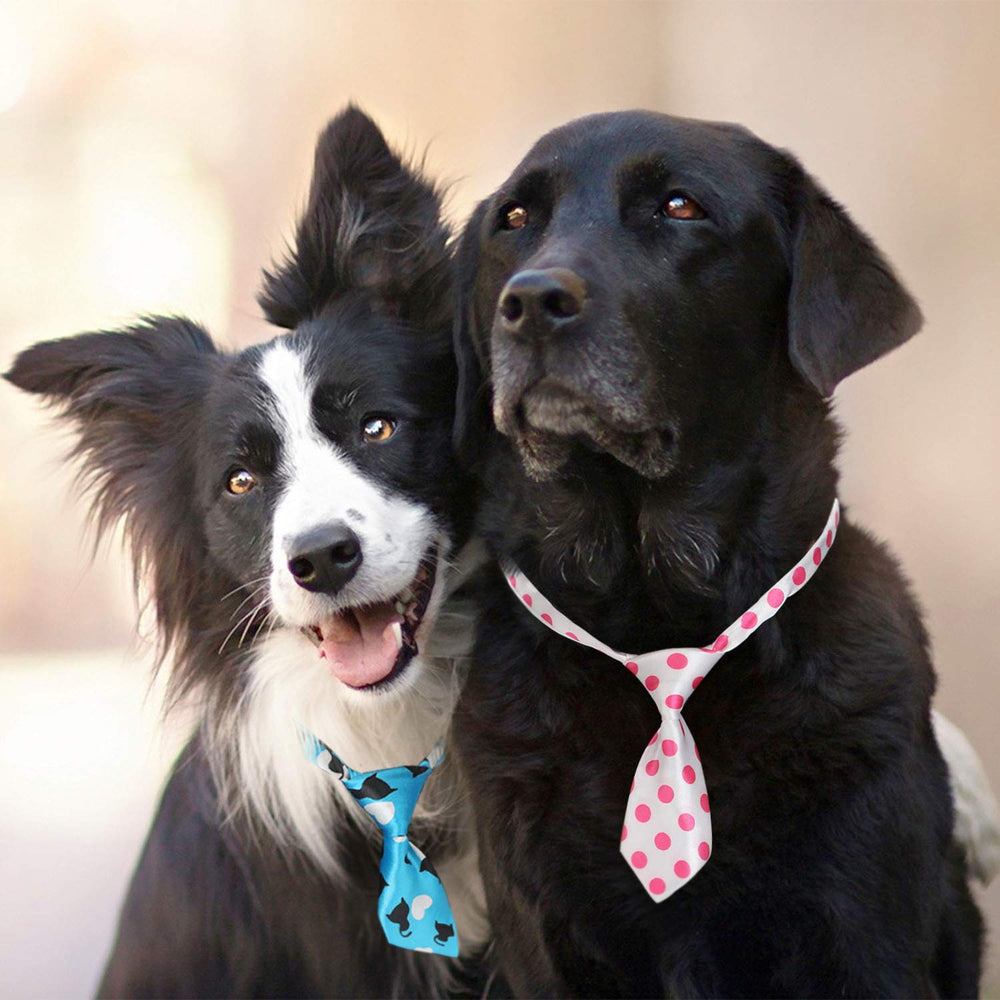 Segarty lazo ajustable para cuello de perro, fácil de poner y cómodo.