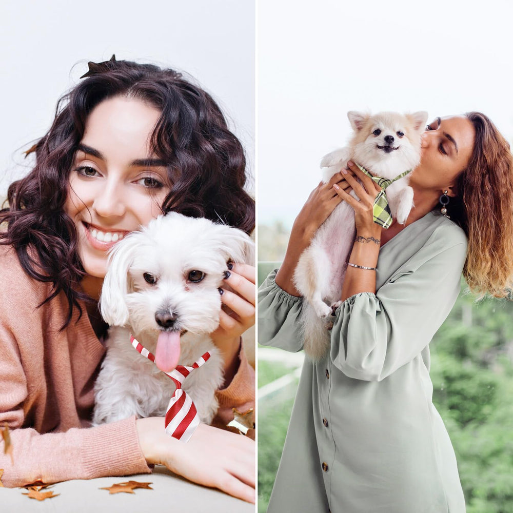 Segarty lazo ajustable para perros pequeños, excelente para acicalamiento y fotos.