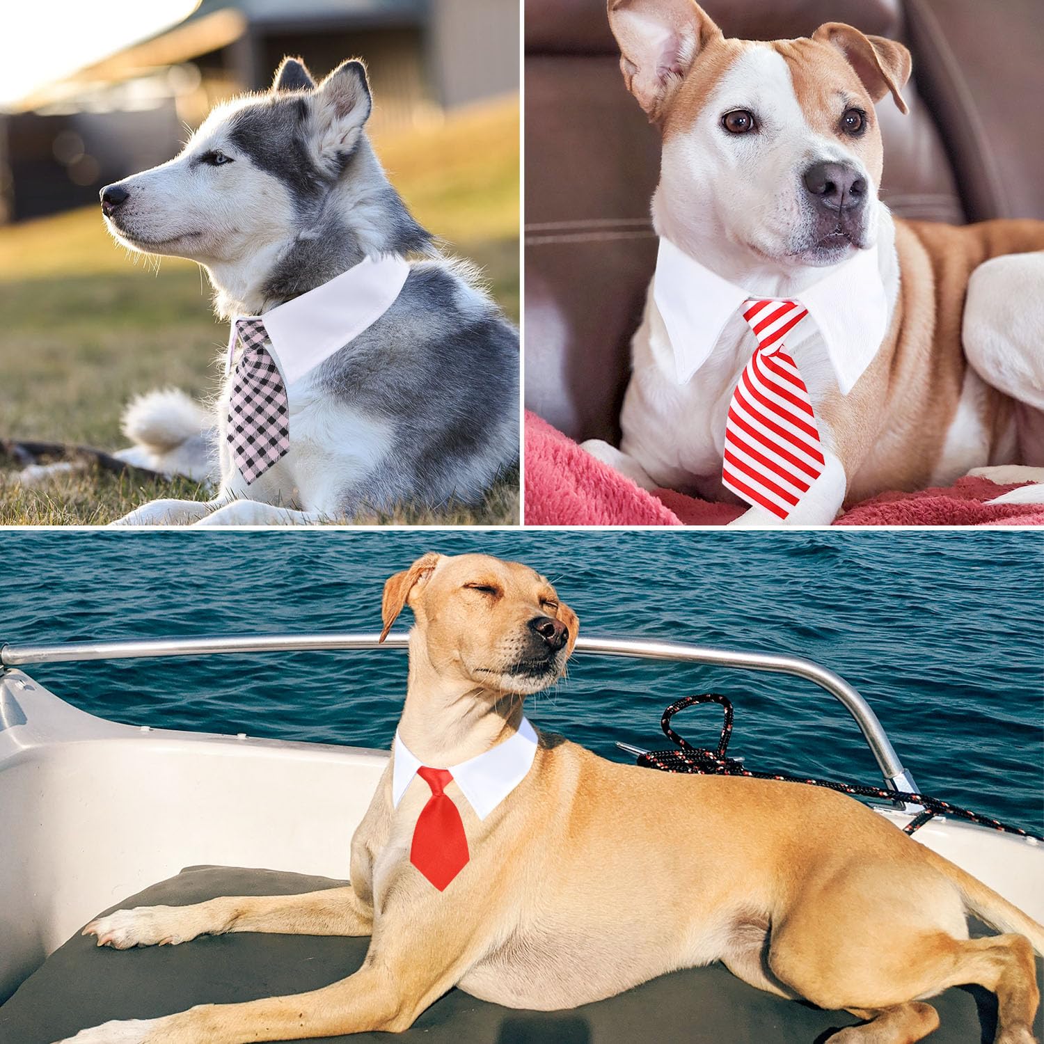 Segarty lazo collar perro blanco negro estrella, versátil para ceremonias.