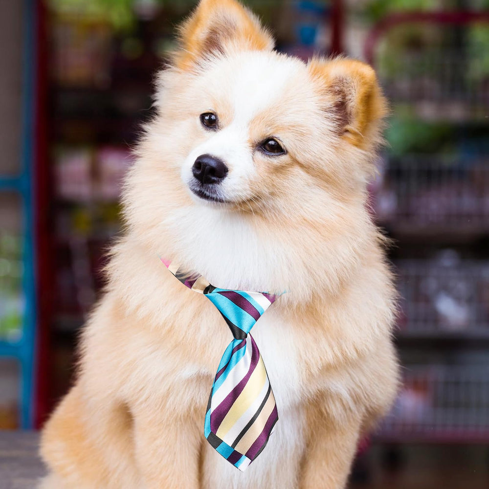 Segarty lazo-collar-perro uso diario cómodo y vistoso.