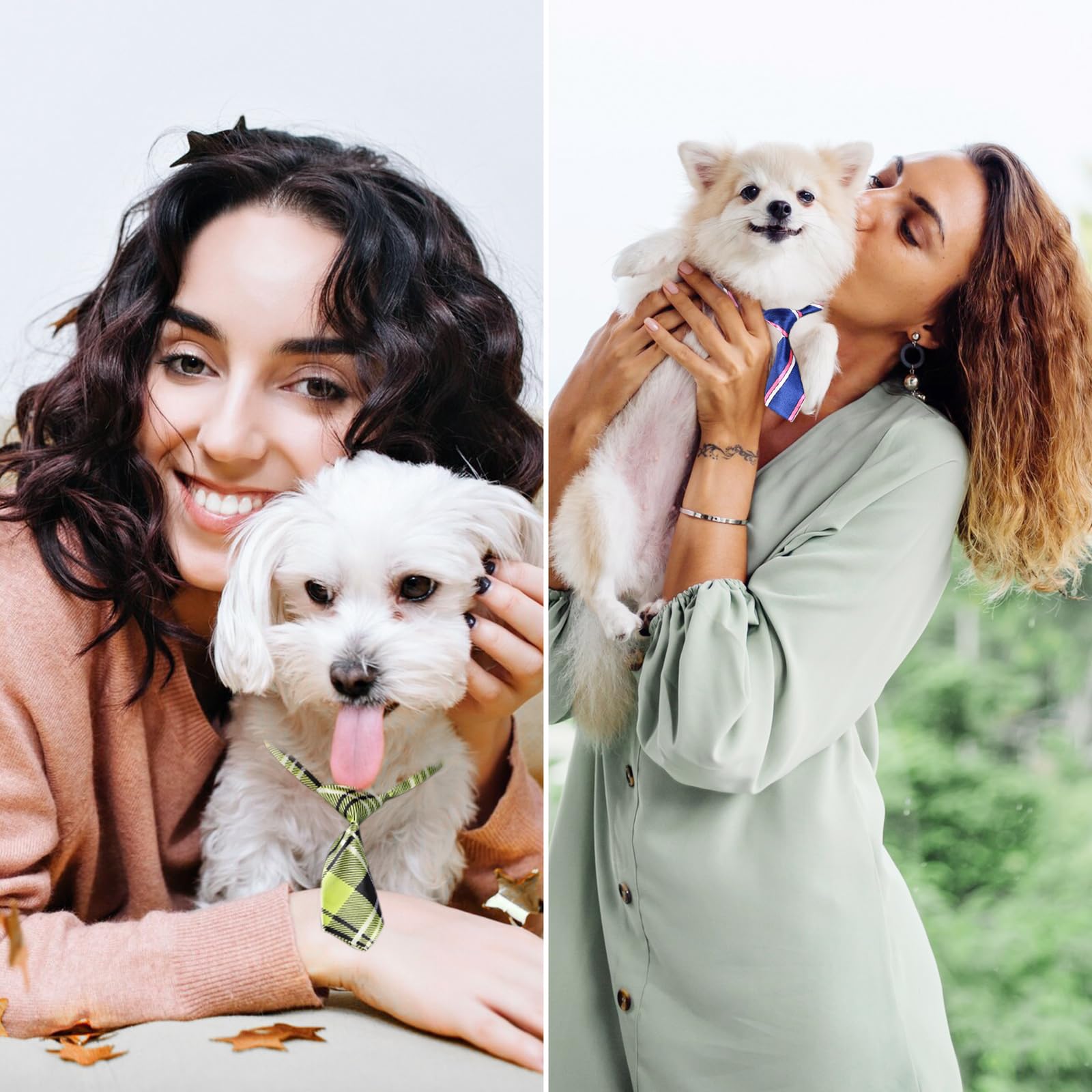 Lazo Segarty para perro pequeño con diseño simple, práctico para uso diario.
