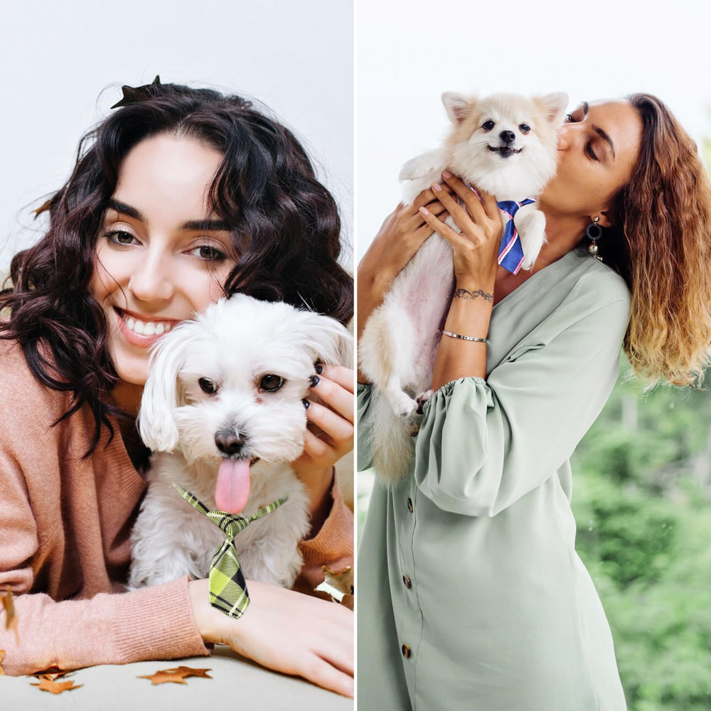 Lazo Segarty para perro pequeño con diseño simple, práctico para uso diario.