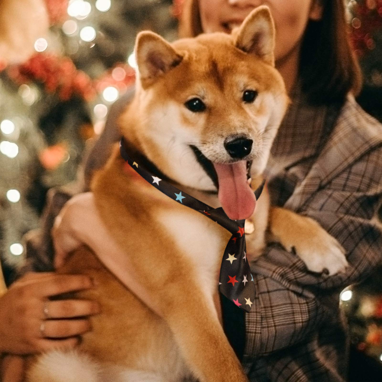 Segarty lazo para perro para ocasiones especiales, bodas y fiestas.