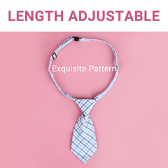 Segarty collar con pajarita fácil de poner, ideal para salones y eventos.