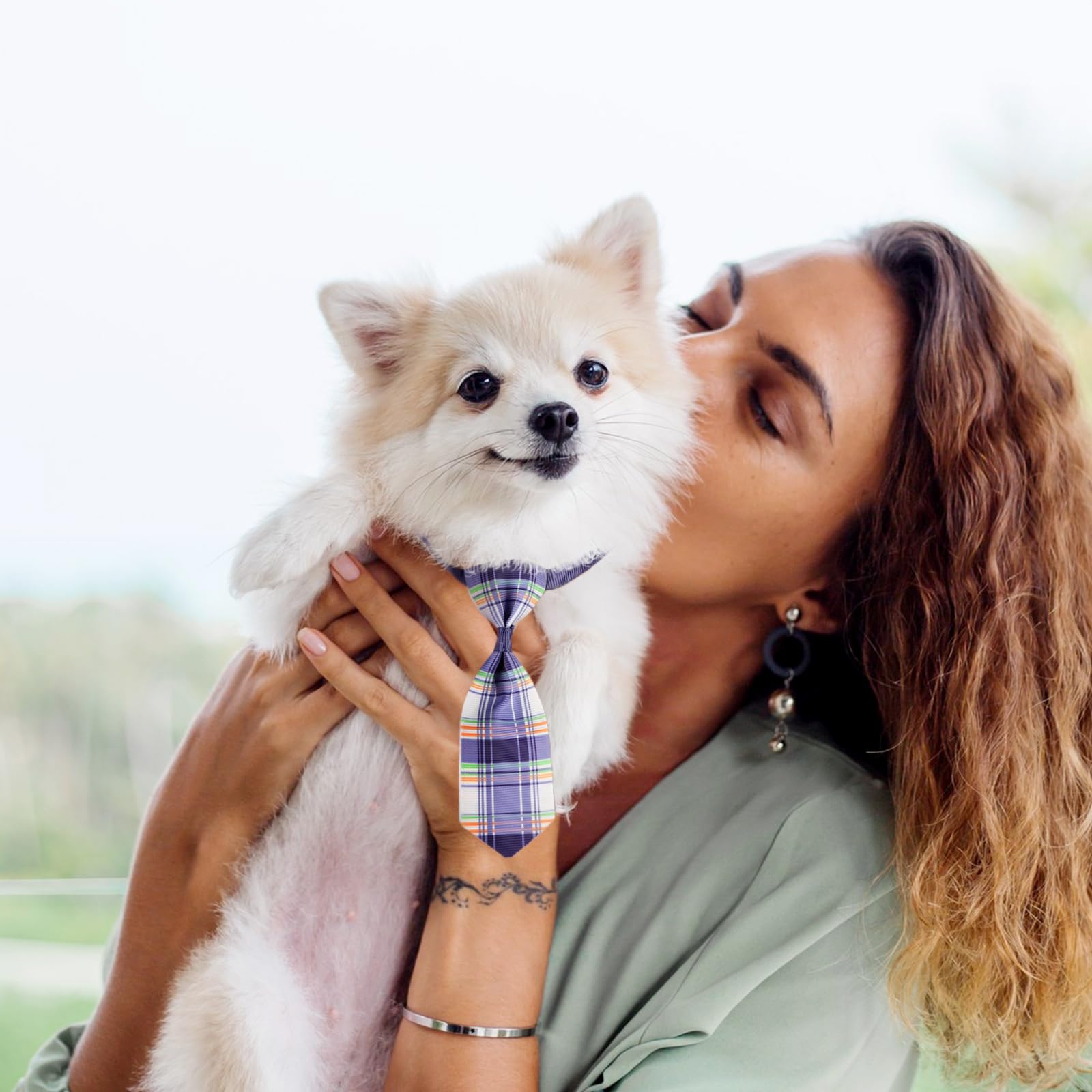 Segarty toma fotos de mascotas con lazo elegante para retratos memorables