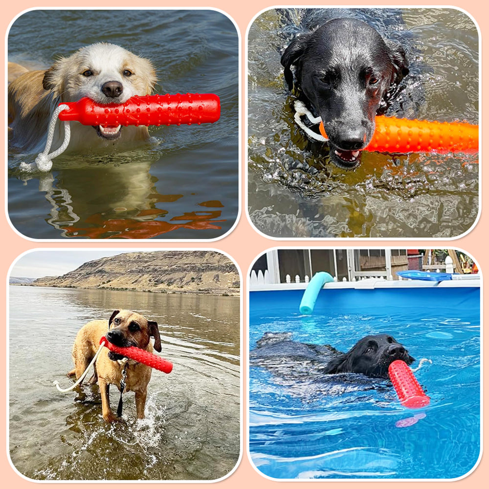 Segzwlor Juego Compartido con Perro, fortalece el vínculo sin presión.