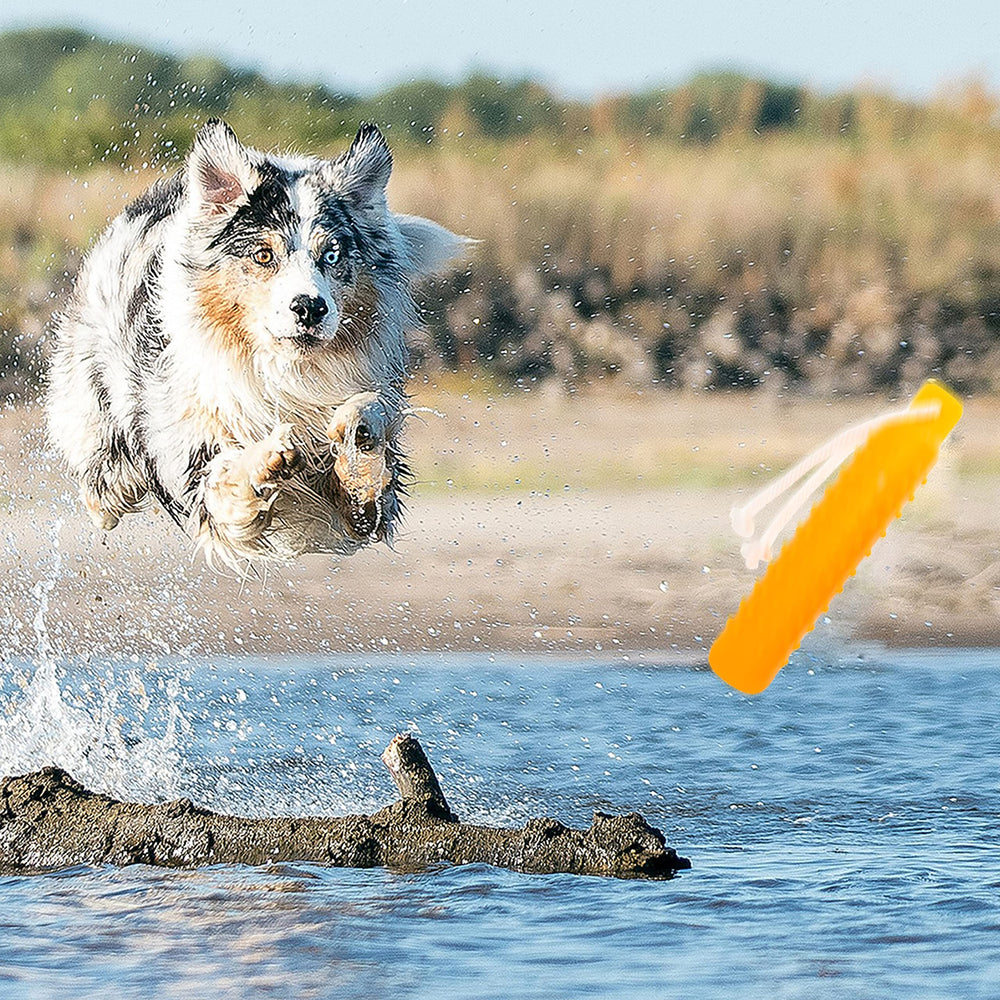 Segzwlor Juego de Recuperación, ideal para ejercicios diarios de tu perro.