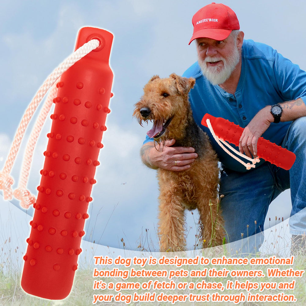 Segzwlor juguete colores brillantes que capta la atención del perro.