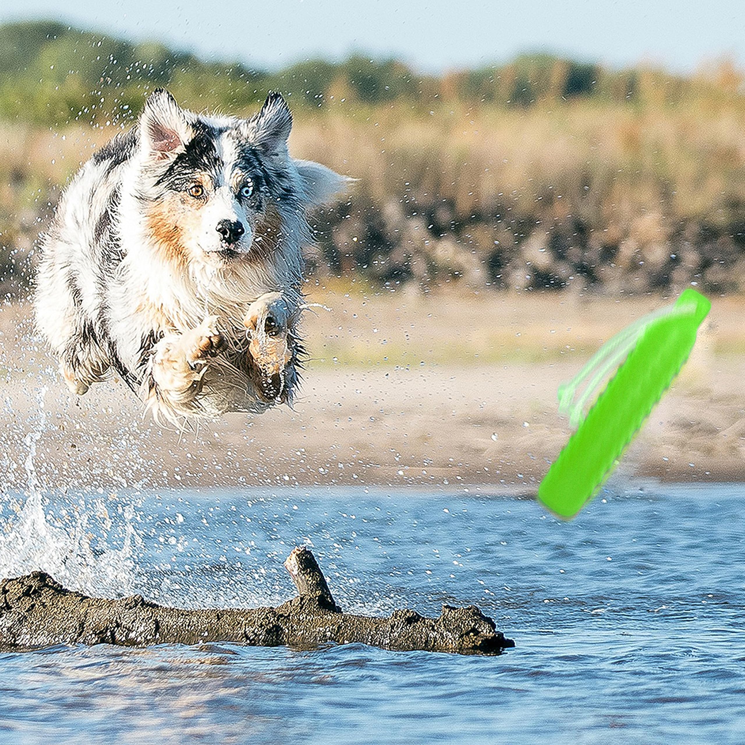 Segzwlor juguete flotante para perros: 11 pulgadas, tamaño versátil para razas.
