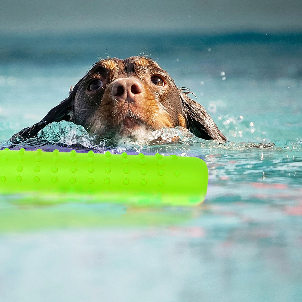 Segzwlor juguete flotante para perros: peso ergonómico facilita el lanzamiento.