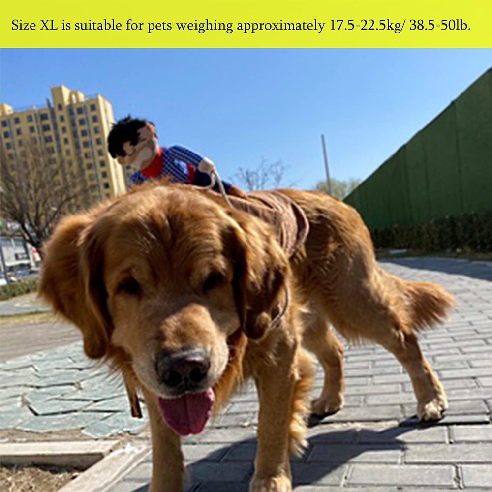 SEIS disfraz mascota detalle diseño caballo ideal para sesiones fotográficas
