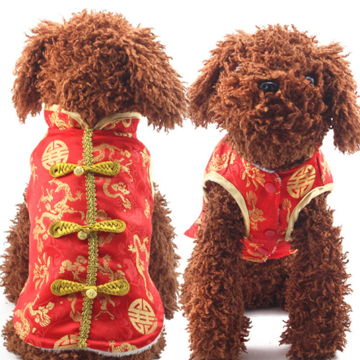 Disfraz SEIS para perros con bordado de dragón, ideal para fiestas y fotos.