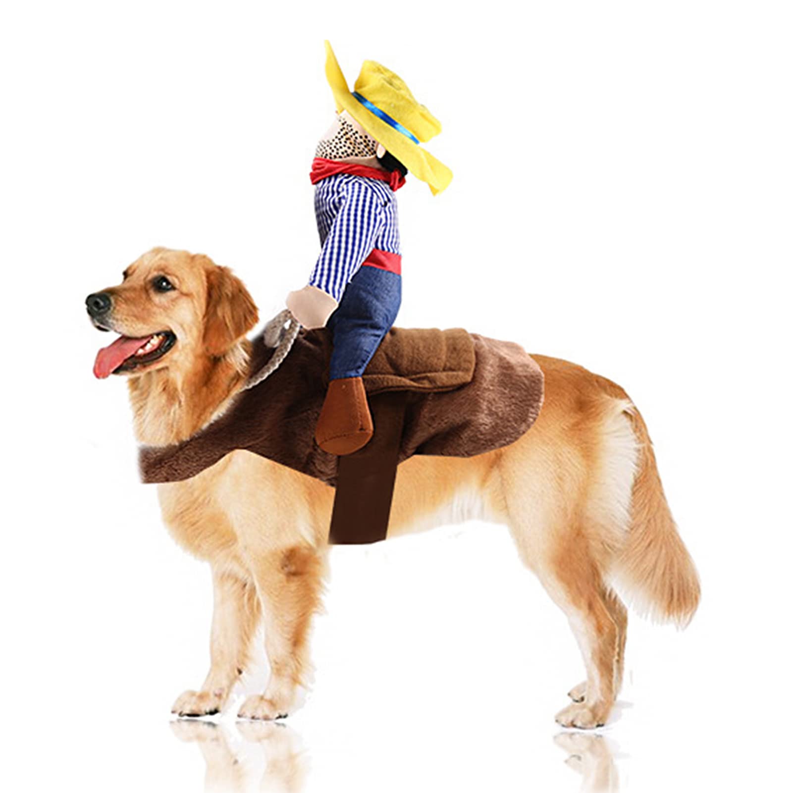 SEIS disfraz mascota caballero-perro, ideal para fiestas y sesiones de fotos.
