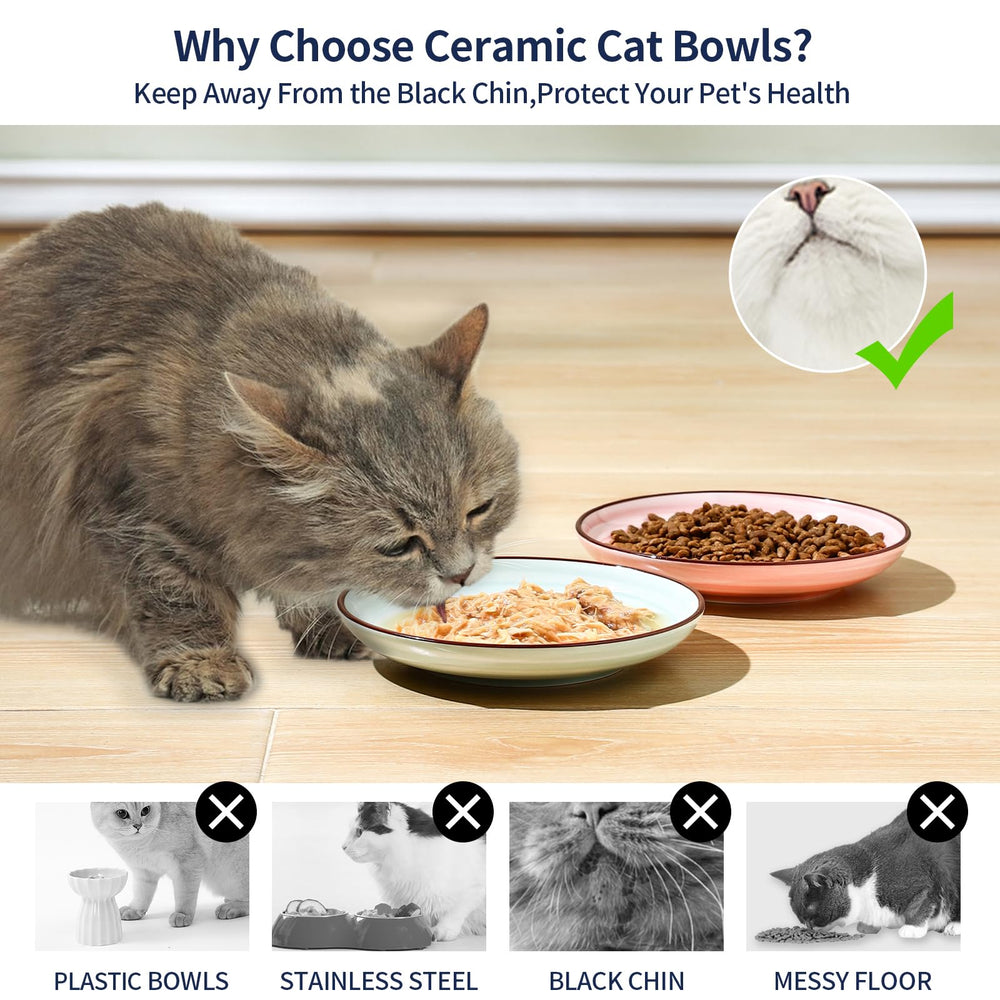 Cuenco Selamica cerámico resistente y estable para comer sin derrames.