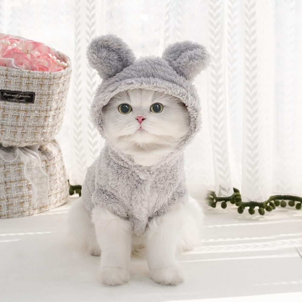 Selena disfraz mascota orejas conejo gris XXL frontal para fotos divertidas