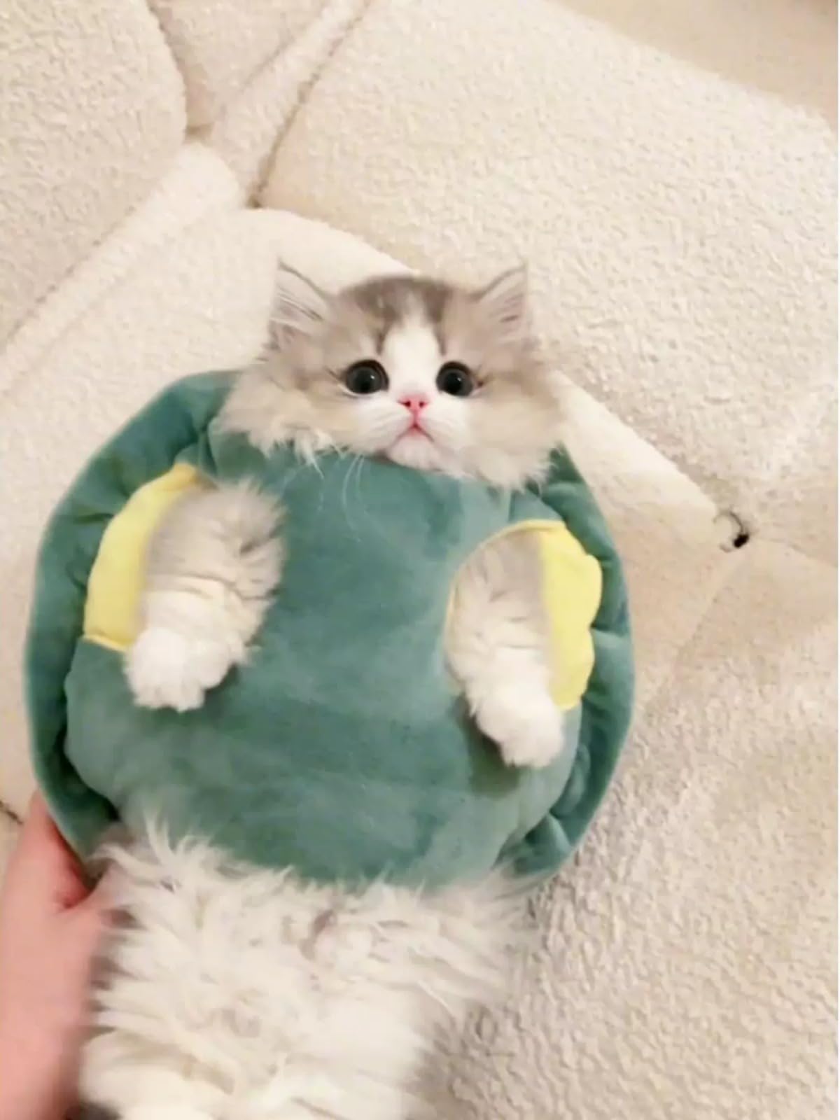 Prenda tortuga Selena para disfraz de mascotas.