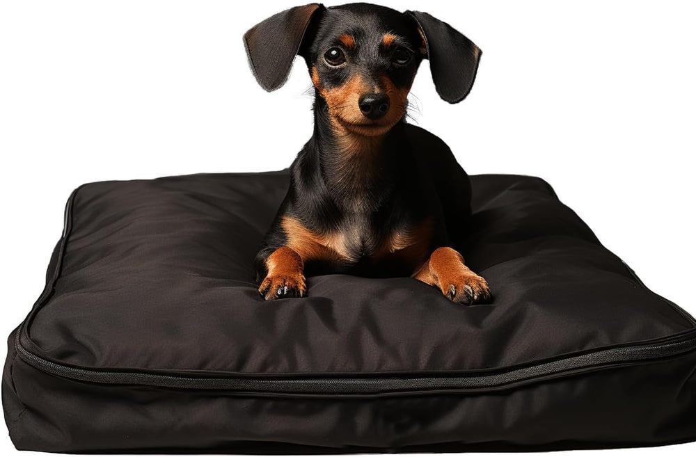 Funda SELUGOVE para cama de perro de 30l x 20w x 3h, protección duradera.