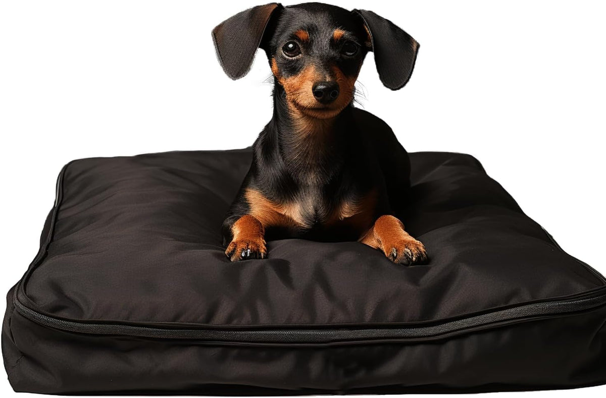Funda SELUGOVE para cama de perro de 30l x 20w x 3h, protección duradera.