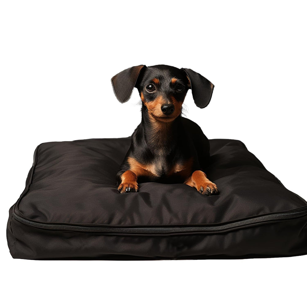 Funda SELUGOVE para perro grande, 53L x 43W x 5H, impermeable y duradera