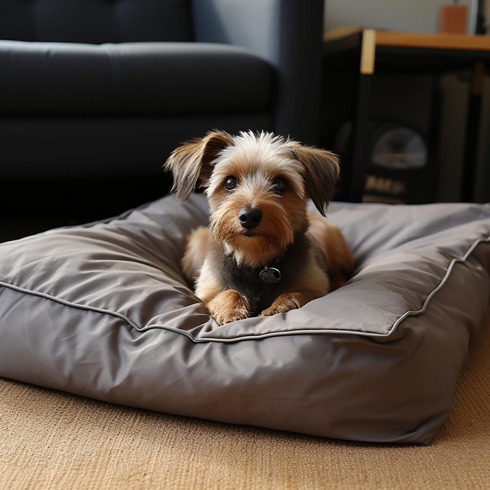 Funda SELUGOVE duradera para uso diario de perros pequeños a medianos