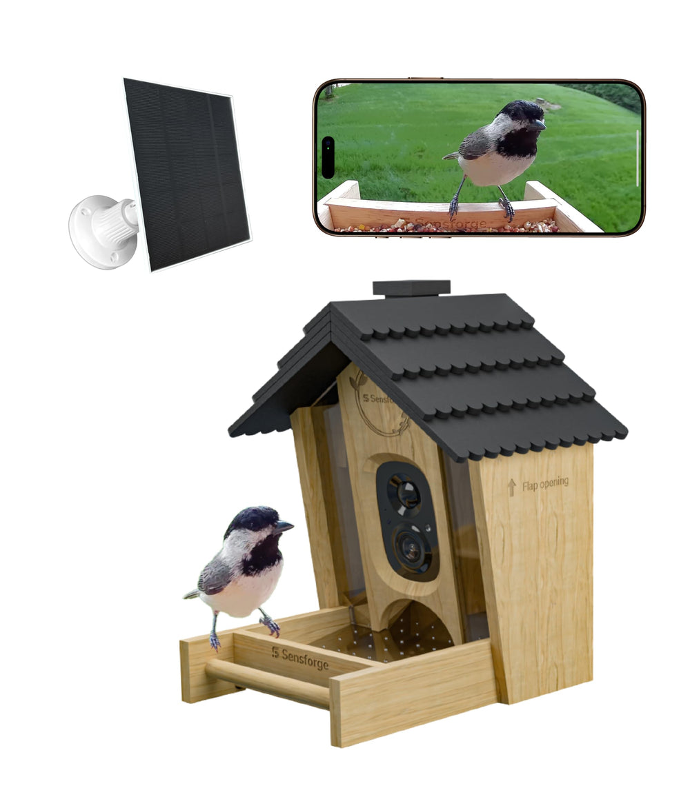 Sensforge regalo ideal para amantes de la naturaleza y familias.